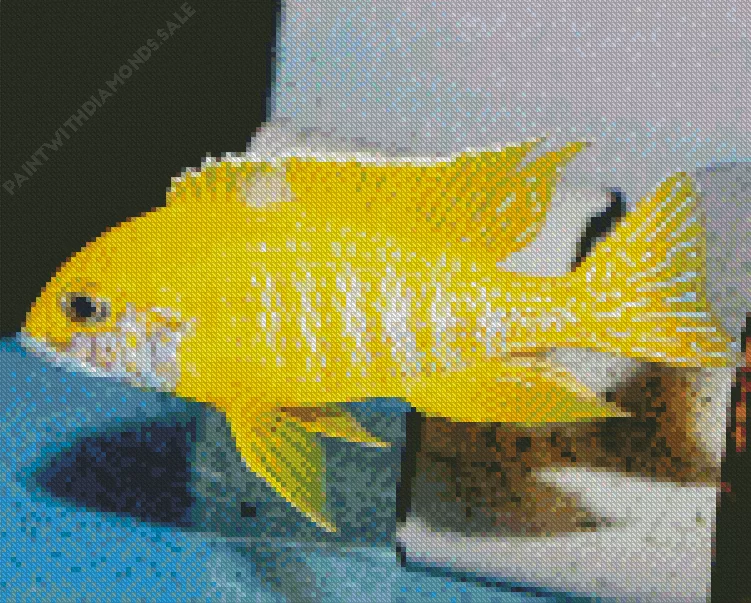 cute Cichlid fish Diamond With Numbers Cute Cichlid Fish Diamond Painting
