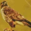 Cute Common Buzzard Diamond Painting