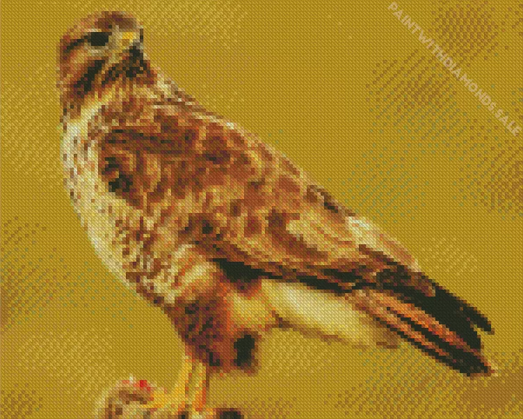 cute Common Buzzard Diamond Dotz Cute Common Buzzard Diamond Painting