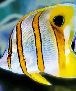 Cute Copperband Butterfly Diamond Painting