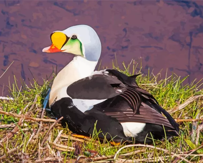 cute King Eider Bird Diamond By Numbers Cute King Eider Bird Diamond Painting