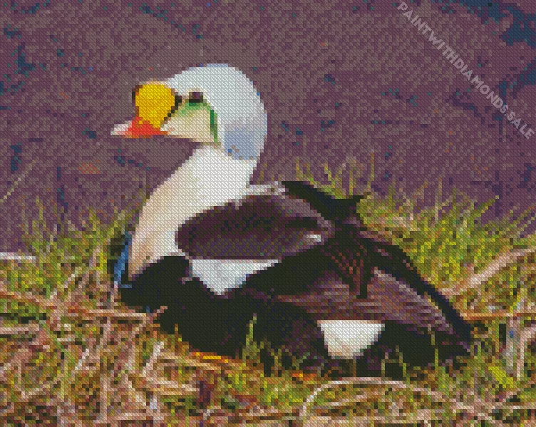cute King Eider Bird Diamond Dotz Cute King Eider Bird Diamond Painting