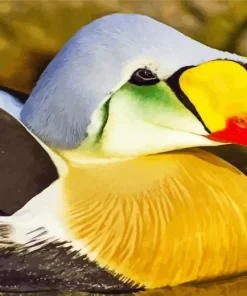 Cute King Eider Diamond Painting