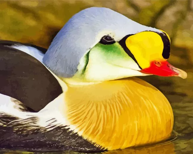 cute King Eider Diamond By Numbers Cute King Eider Diamond Painting