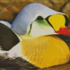Cute King Eider Diamond Painting