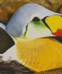 Cute King Eider Diamond Painting