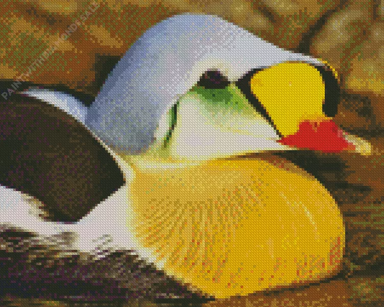 cute King Eider Diamond Dotz Cute King Eider Diamond Painting