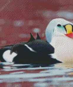 Cute King Eider Bird Art Diamond Painting