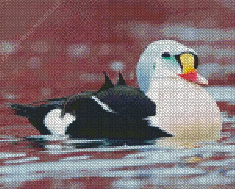 cute King Eider bird Diamond Dotz Cute King Eider Bird Art Diamond Painting