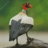 Cute King Vulture Diamond Painting