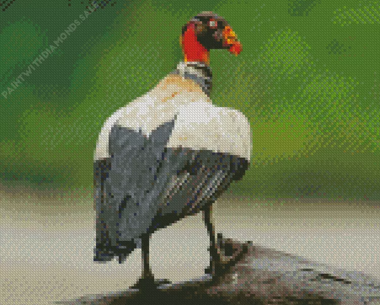cute King Vulture Diamond Dotz Cute King Vulture Diamond Painting