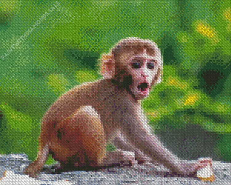 cute Macaque Diamond Dotz Cute Macaque Diamond Painting