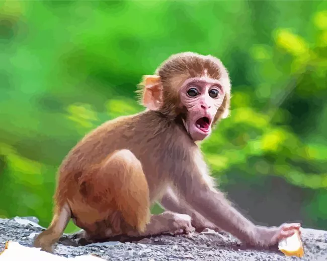cute Macaque Diamond Paintings Cute Macaque Diamond Painting