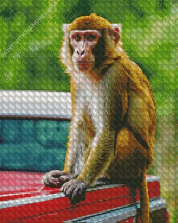 cute Macaque animal Diamond Dotz Cute Macaque Animal Diamond Painting