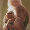 Cute Macaque Baby And Mother Diamond Painting