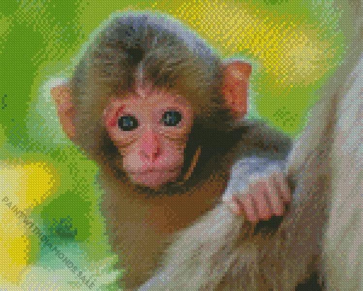 cute Macaque monkey Diamond Dotz Cute Macaque monkey Diamond Painting