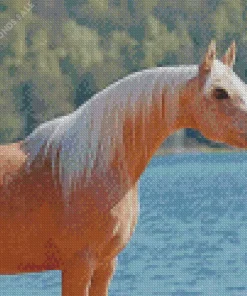Cute Palomino Horse Diamond Painting
