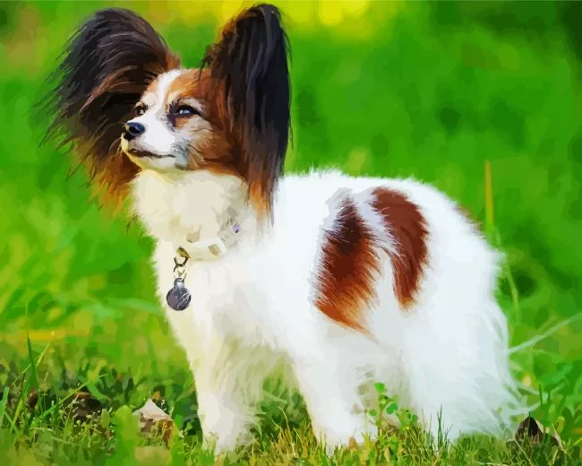 cute Papillon dog Diamond By Numbers Cute Papillon Dog Diamond Painting