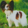 Cute Papillon Dog Diamond Painting