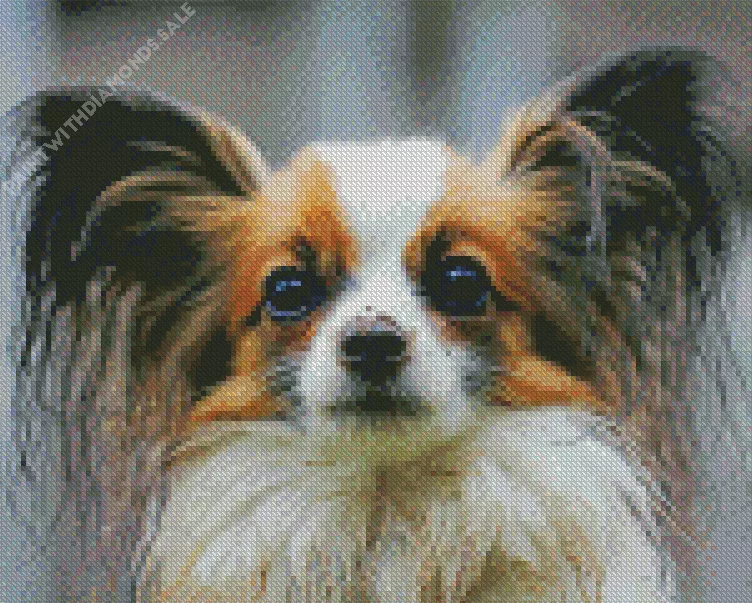 cute Papillon puppy Diamond Paints Cute Papillon Puppy Diamond Painting