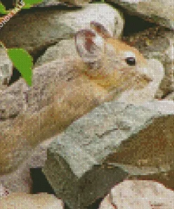 Cute Pika Diamond Painting
