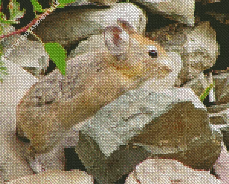 cute Pika Diamond By Numbers Cute Pika Diamond Painting