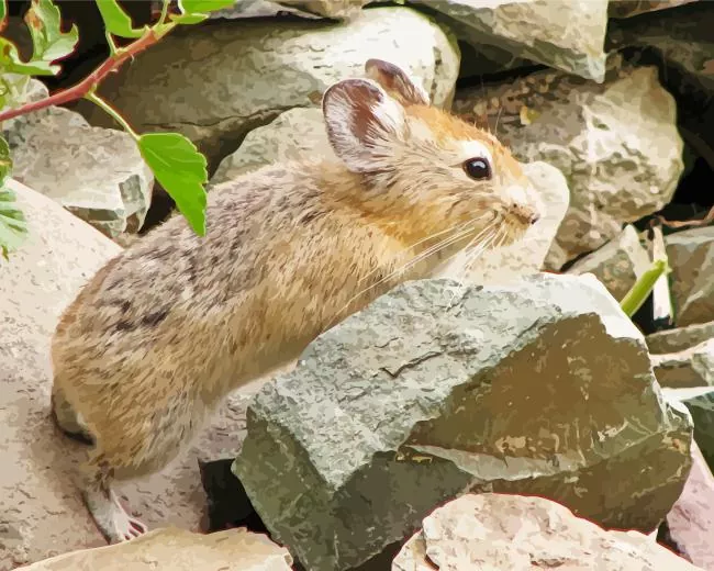 cute Pika Diamond Paintings Cute Pika Diamond Painting