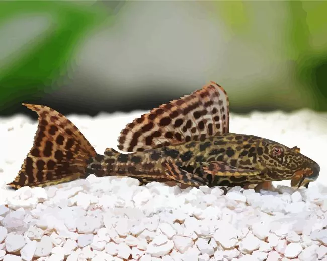 cute Pleco Fish Diamond Paints Cute Pleco Fish Diamond Painting