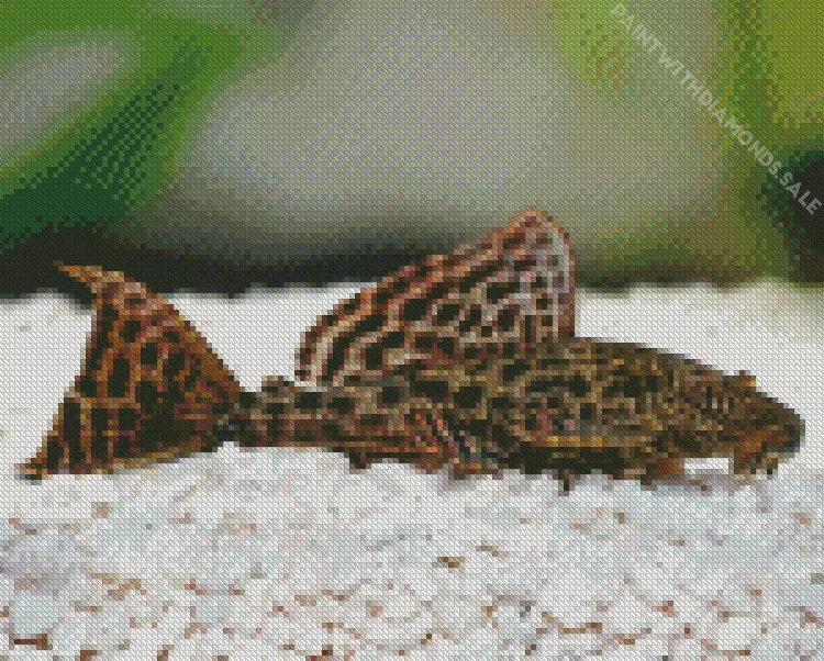 cute Pleco Fish Diamond With Numbers Cute Pleco Fish Diamond Painting