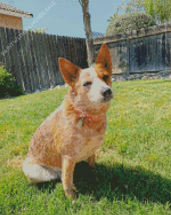 cute Red Heeler dog Diamond Dotz Cute Red Heeler Dog Diamond Painting