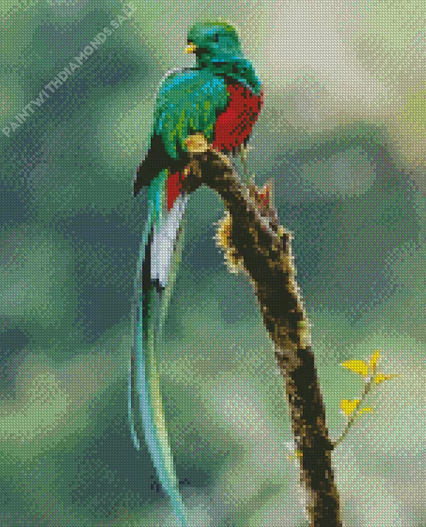 cute Resplendent Quetzal Diamond Dotz Cute Resplendent Quetzal Diamond Painting