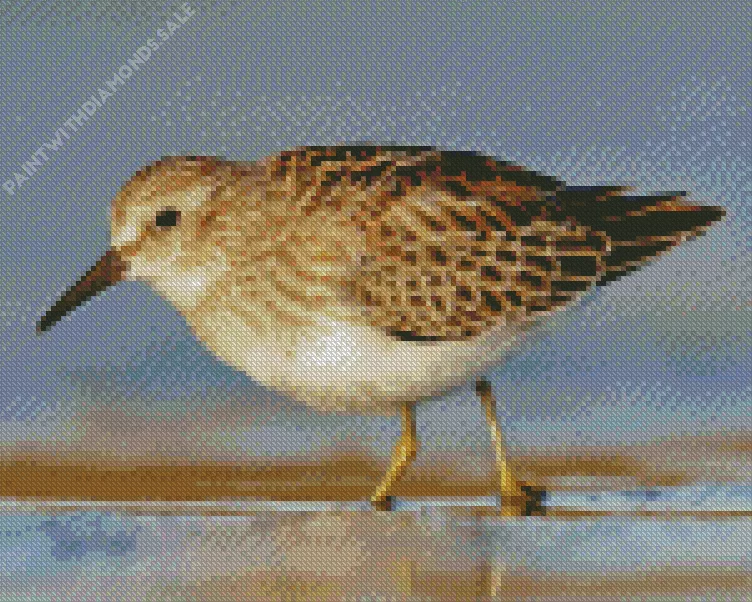 cute Sandpiper Diamond Dotz Cute Sandpiper Diamond Painting