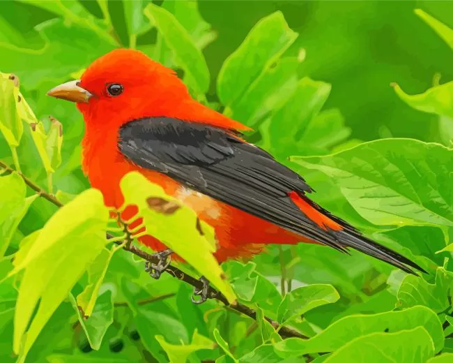 cute Scarlet Tanager bird Diamond By Numbers Cute Scarlet Tanager Bird Diamond Painting