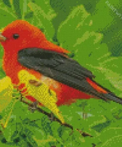Cute Scarlet Tanager Bird Diamond Painting