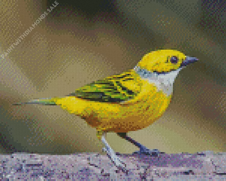 cute Silver Throated Tanager Diamond Dotz Cute Silver Throated Tanager Diamond Painting