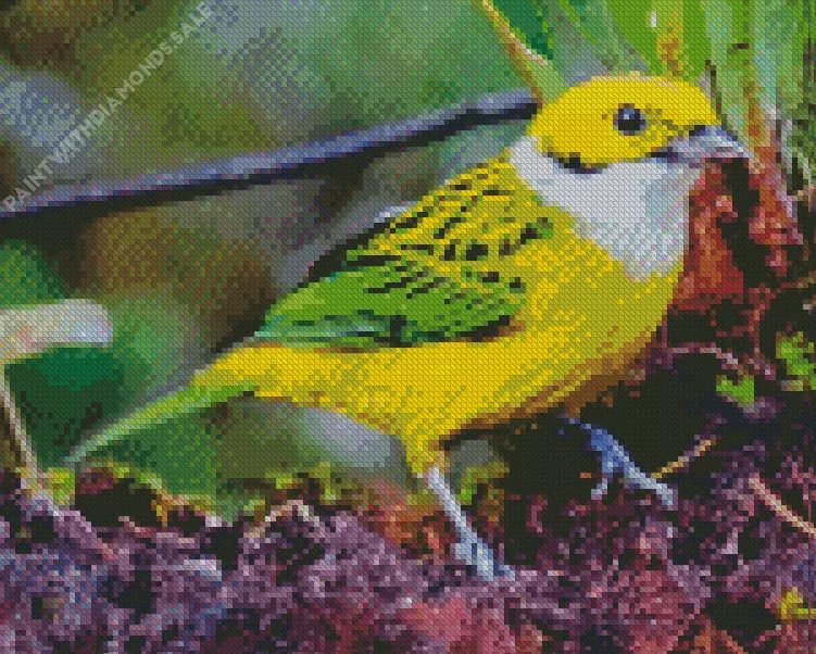 cute Silver throated Tanager bird Diamond Dotz Cute Silver throated Tanager Bird Diamond Painting