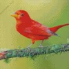 Cute Summer Tanager Diamond Painting