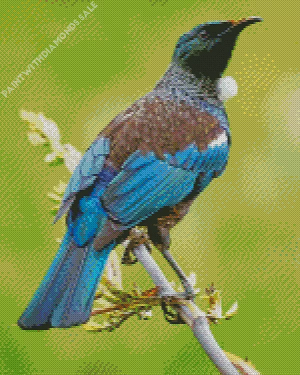 cute Tui bird Diamond By Numbers Cute Tui Bird Diamond Painting