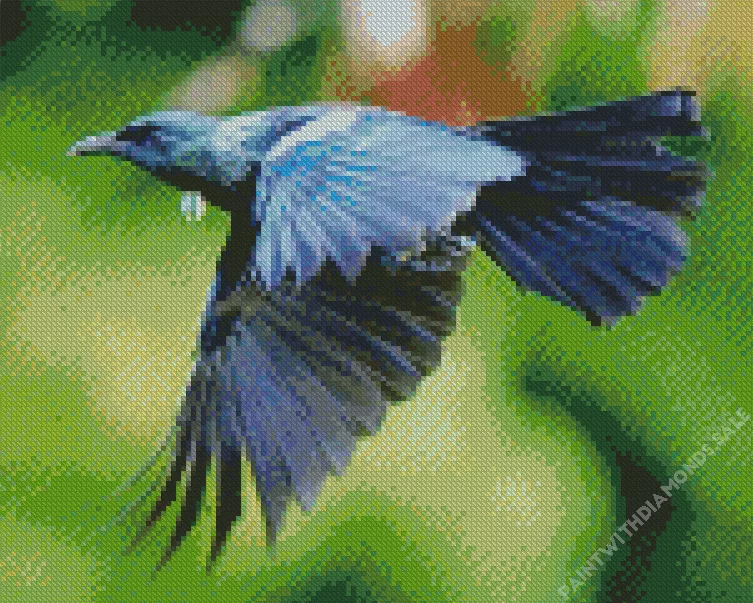 cute Tui bird flying Diamond By Numbers Cute Tui Bird Flying Diamond Painting