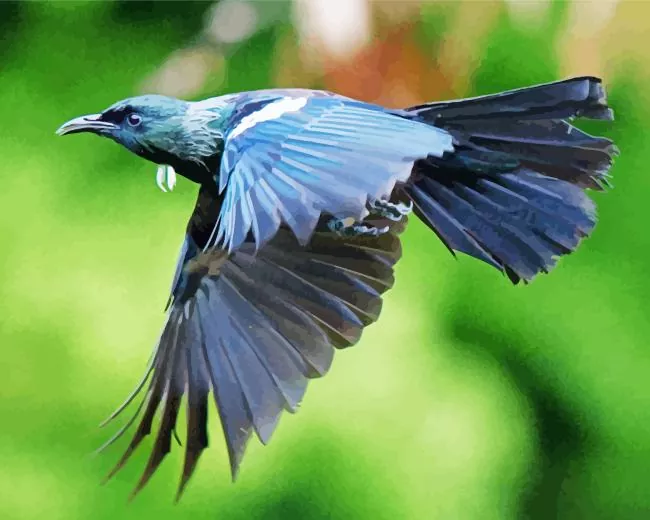 cute Tui bird flying Diamond Paints Cute Tui Bird Flying Diamond Painting