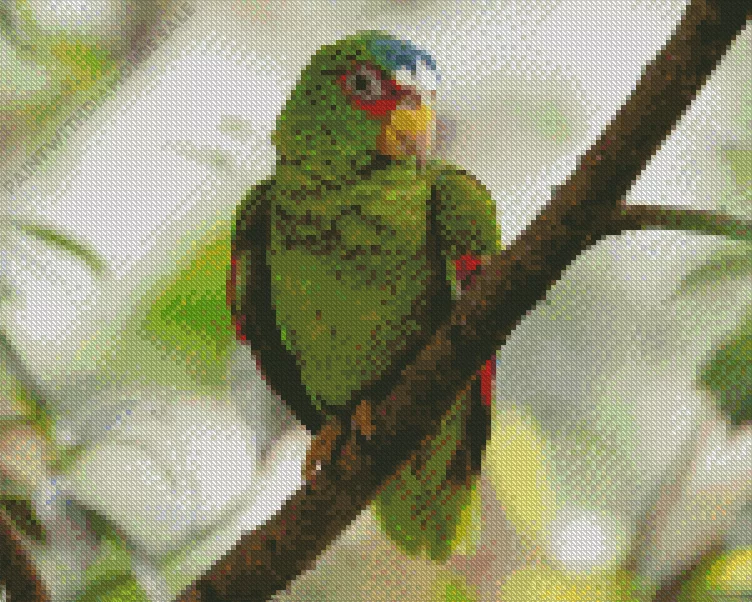 cute White Fronted Amazon Diamond Dotz Cute White Fronted Amazon Diamond Painting