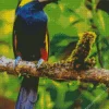 Cute Yellow Eared Toucanet Diamond Painting