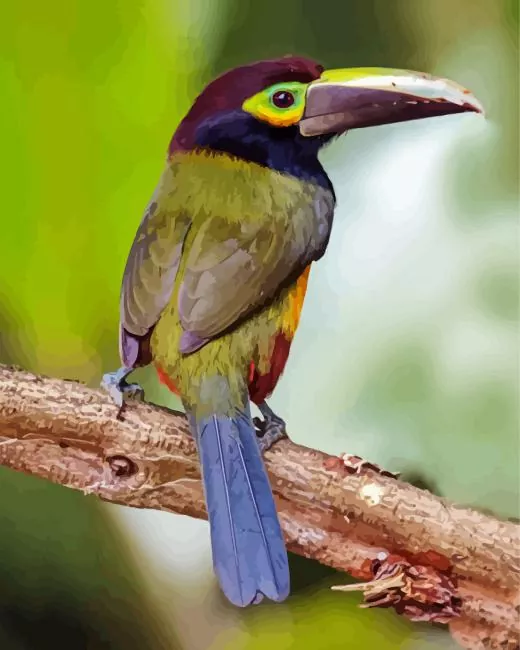 cute Yellow Eared Toucanet bird Diamond By Numbers Cute Yellow Eared Toucanet Bird Diamond Painting