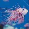 Cute Baby Lionfish Diamond Painting