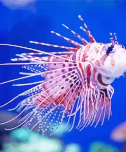Cute Baby Lionfish Diamond Painting
