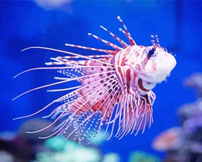 cute baby Lionfish Diamond With Numbers Cute Baby Lionfish Diamond Painting