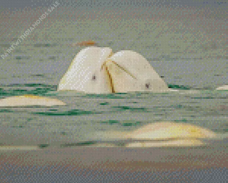 cute belugas couple Diamond Paintings Cute Belugas Couple Diamond Painting