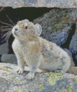Cute Grey Pika Diamond Painting
