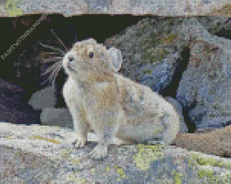 cute grey Pika Diamond By Numbers Cute Grey Pika Diamond Painting