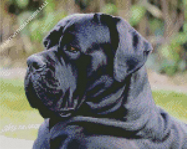 dog cane corso Diamond Dotz Dog Cane Corso Diamond Painting